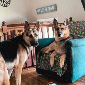 Meet your Posher, Lynn